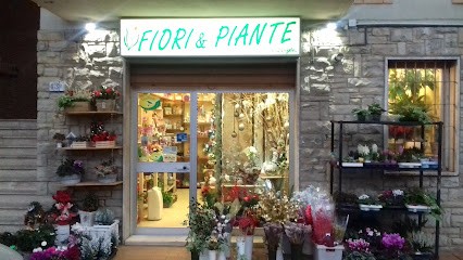 Verdi Voglie, Fiorista a Perugia