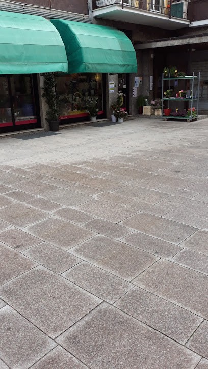 Fiori Di....Silvana Silvana Roncaglio, Fiorista a Locate di Triulzi