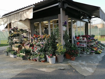 Il Fiocco Bianco, Fiorista a Pavia