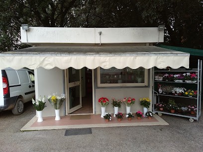 Ferranti Daniele, Fiorista a Massa Martana