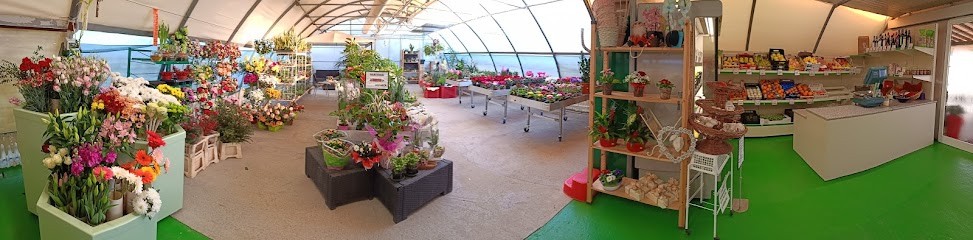 Ortofloricoltura Trentin di Barbirato Davide, Fiorista a Ponso