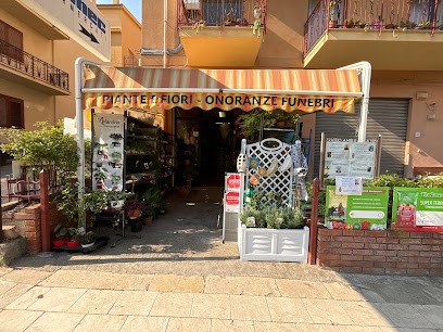 Pamela Flowers, Fiorista a Pollina