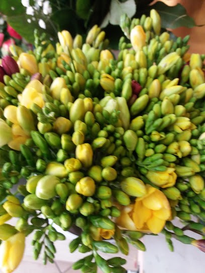 L'aurora Floreale, Fiorista a Terme Vigliatore