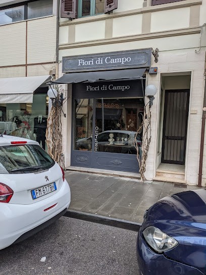 Fiori Di Campo Di Marchesini Emanuela, Fiorista a Viareggio