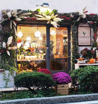 Fioreria Clorofilla, Fiorista a Trescore Balneario