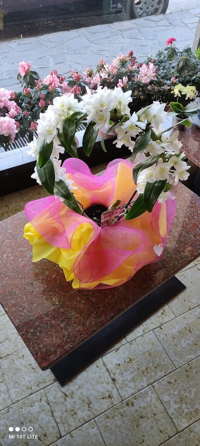 Fioreria Di Montagnini Roberto, Fiorista a Pordenone