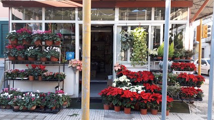 Fiori Mariella D'Amico, Fiorista a Venetico