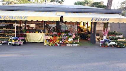 L'Anemone Fiori, Fiorista a Verona
