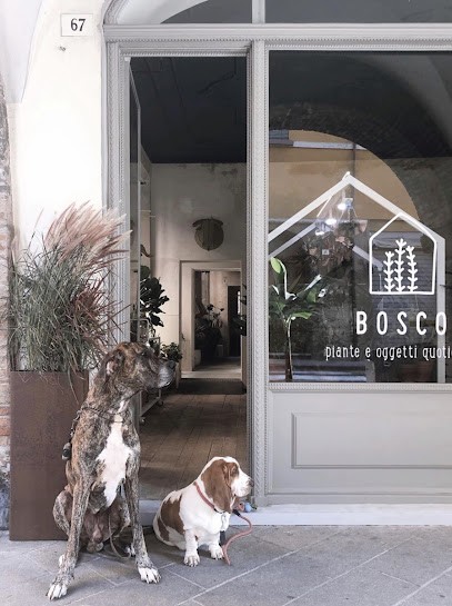 Bosco, Fiorista a Forlì