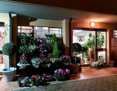 Non Ti Scordar Di Me - Fiori E Piante, Fiorista a Foligno