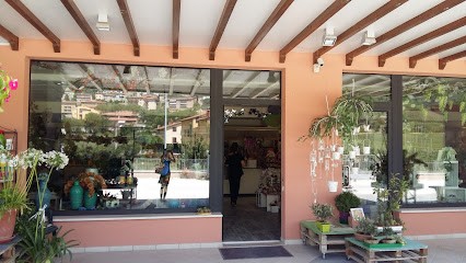 Bottausci Fiori, Fiorista a Magione