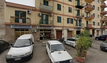 Alario Domenico, Fiorista a Palermo