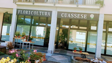 Floricoltura Cuassese di Michele Salvo & C. S.n.c., Fiorista a Lavena Ponte Tresa