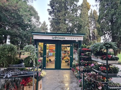Fioreria La Primula di Tomasi Beniamino, Fiorista a Conegliano