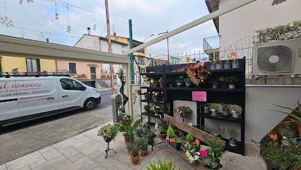 Un Fiore Per Te, Fiorista a Pistoia