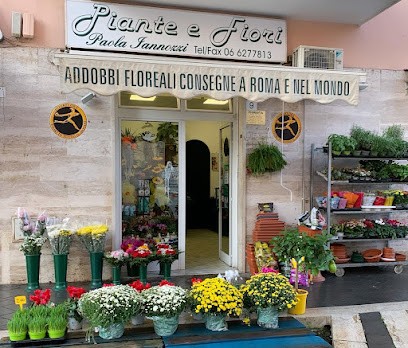 Paola Iannozzi, Fiorista a Roma
