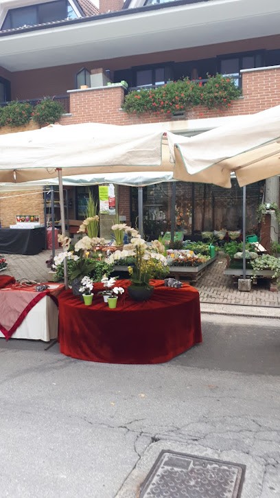 Tuttanatura Fiori E Piante, Fiorista a Caraglio