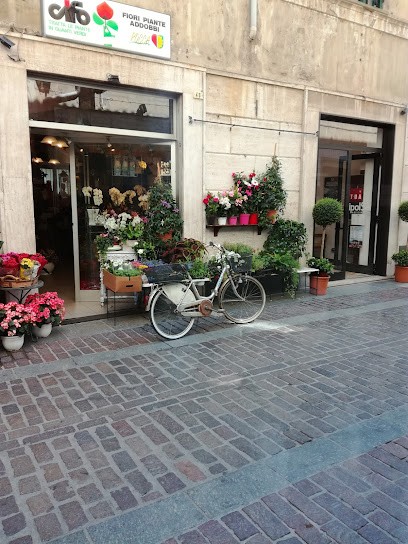 Rocca Fiori Di Bonanzinga Maddalena, Fiorista a Ovada