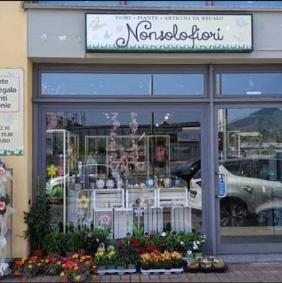 Nonsolofiori Di Molendi Patricia, Fiorista a Pescia