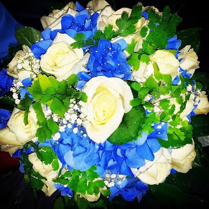 Vulcano Dei Fiori, Fiorista a Palermo