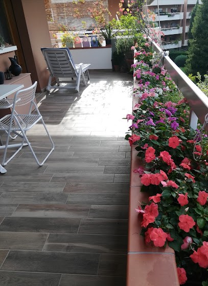 Floricoltura Baldinotti Giuseppe, Fiorista a Cesena