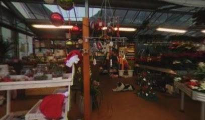 Piante E Fiori Giovenzana Paolo Gravedona, Fiorista a Gravedona ed Uniti