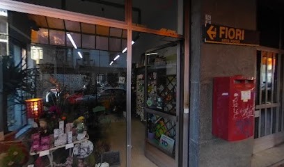 Fiori E Fogli, Fiorista a Torino