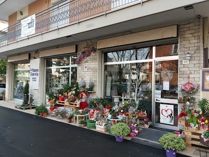 La Nuova Fioreria, Fiorista a Rimini