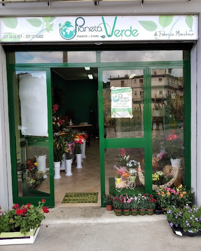 Pianeta Verde Piante E Fiori, Fiorista a Mistretta