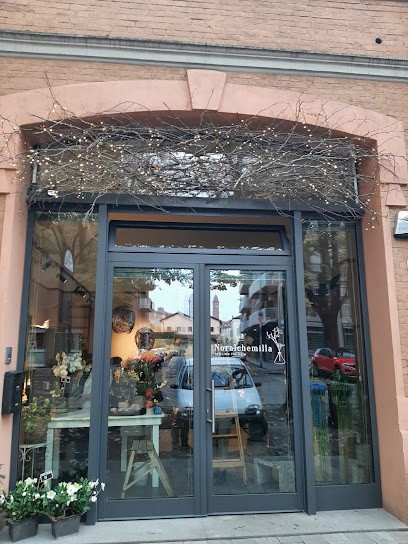 Noralchemilla di Massari Eleonora, Fiorista a Carpi