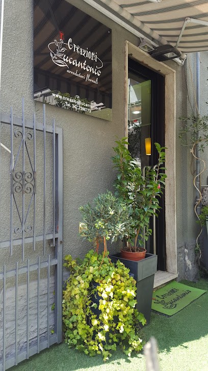 Creazioni Lucantonio, Fiorista a Nichelino