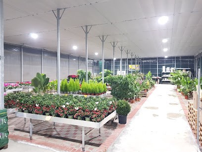 La Floreale Mesagnese Di Saracino Massimo, Fiorista a Mesagne