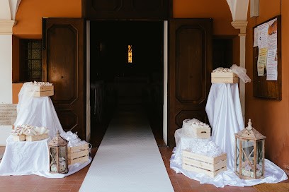 Naturalmente Piante E Fiori S.n.c., Fiorista a Castelnuovo Rangone