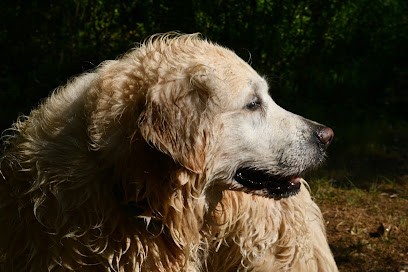 Fioreria Creativa, Fiorista a Vidor