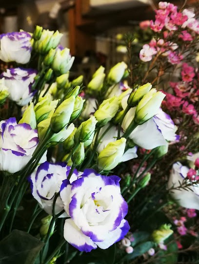 Eden Fleur Loredana Nicora, Fiorista a Varese