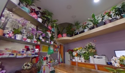 Florart Di Gaetano Russo - Consegna Fiori Napoli, Fiorista a Napoli