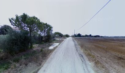 Luxury Flowers Società Agricola Srl, Fiorista a Eboli