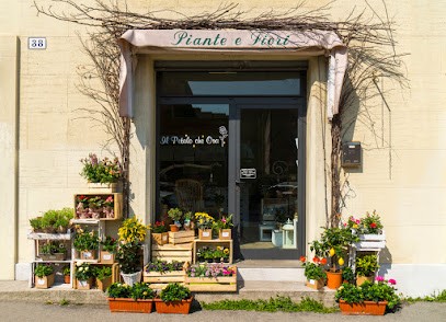 Il Petalo Che Osa di Pasquini Debora, Fiorista a Bologna