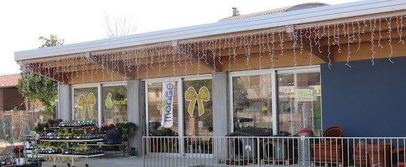 Mondo Natura, Fiorista a Minerbe