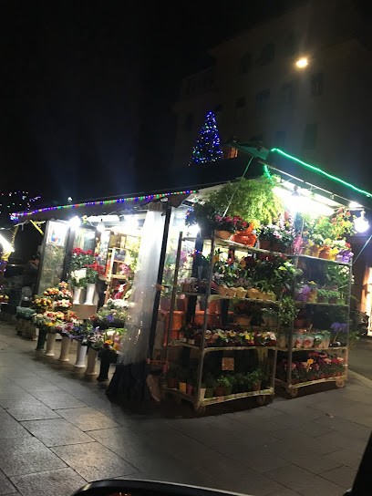 Piante E Fiori Mario, Fiorista a Roma