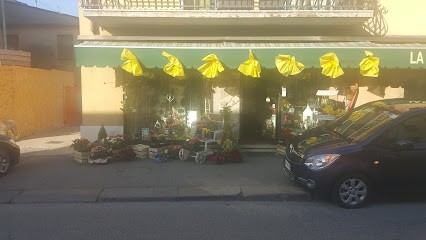 Fioreria Caldonazzo Di Carta Antonella, Fiorista a Soave