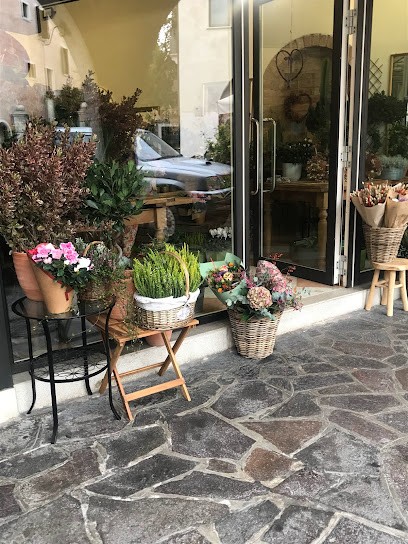 I Fiori Di Prior Michela, Fiorista a Treviso