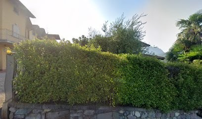 Carrara Silverio, Fiorista a Sovere