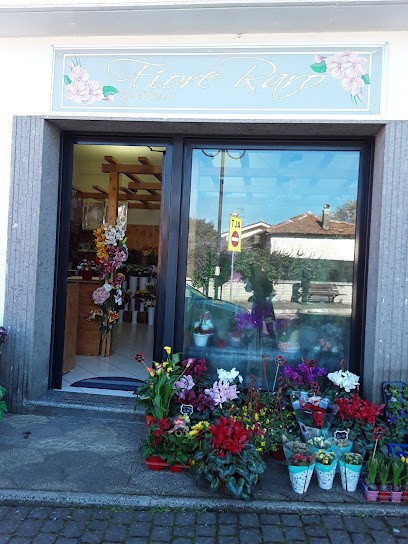 Fiore Raro, Fiorista a Gallicano nel Lazio