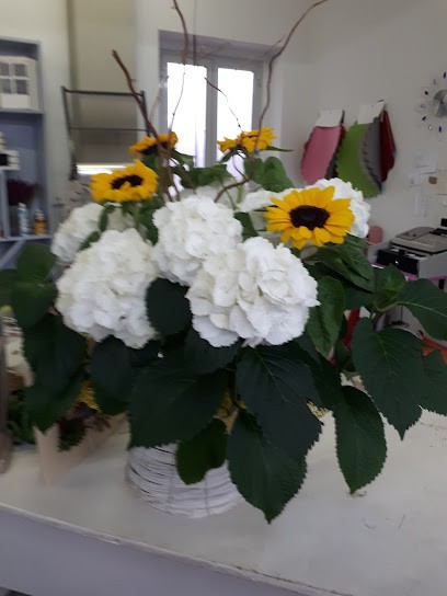 I Fiori Di Chiara E Sara, Fiorista a Alessandria