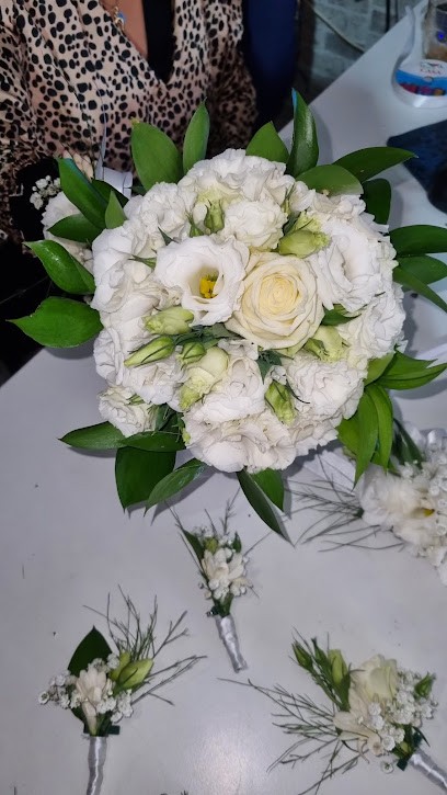 Piante &fiori, Fiorista a Roma