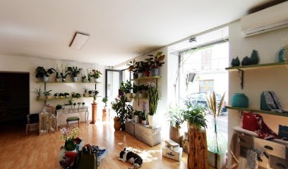 La Mela Studio Floral Design, Fiorista a Miglianico