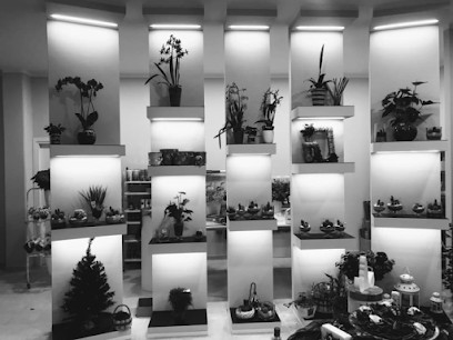 Flowers & Party, Fiorista a Montesano sulla Marcellana