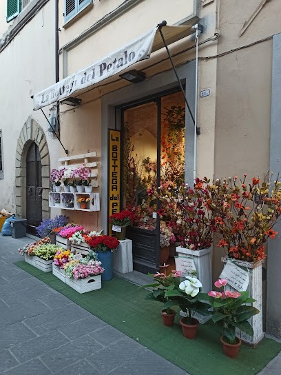 La Bottega Del Petalo, Fiorista a Citta Di Castello