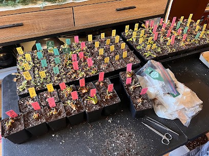 Diflora, Fiorista a Galliera Veneta